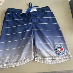 Toronto BlueJays Men’s Ombré  Swim Shorts - Blue, Size L